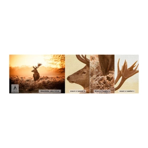Fototapeten Muster Premium Canvas - Herr im eigenen Land - Landschaft, Reh, Tiere - 100x30 cm