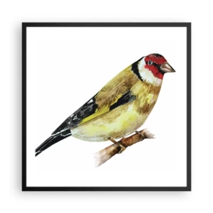 Poster in einem schwarzem Rahmen - Vogelporträt - 60x60 cm