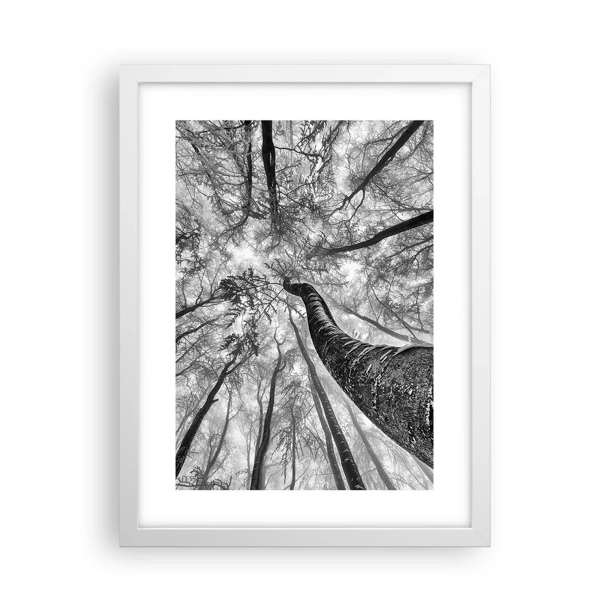 Poster in einem weißen Rahmen - Rennen zum Licht - 30x40 cm