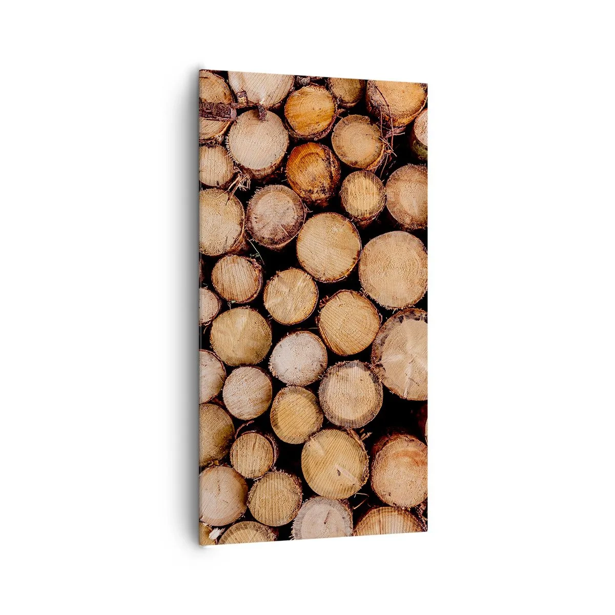 Bild auf Leinwand - Leinwandbild - Ein neuer Anfang - 65x120 cm
