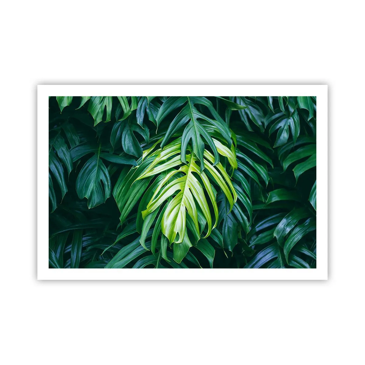 Poster - Tauchen Sie ein in die Frische - 91x61 cm