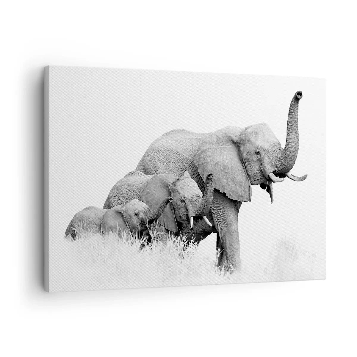 Bild auf Leinwand - Leinwandbild - Eine Elefantenfamilie vor einer afrikanischen Landschaft in Schwarzweiß. - 70x50cm - Eins zwei drei - Moderne Wanddekoration für Wohnzimmer und Schlafzimmer ARTTOR