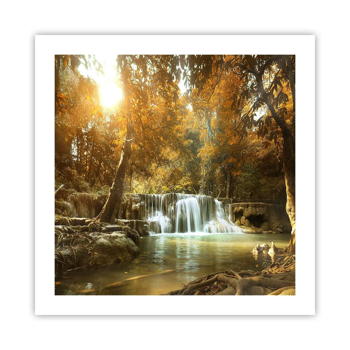 Poster - Parkkaskade - 50x50 cm