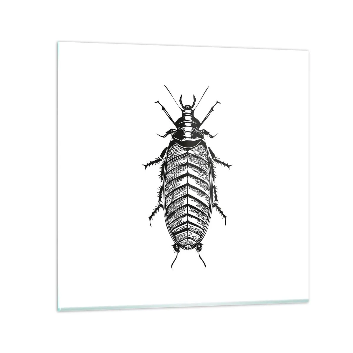 Glasbild - Bild auf glas - Was für ein Exemplar! - 50x50 cm