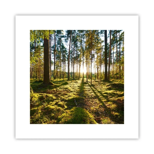 Poster - … Hinter den sieben Wäldern - 30x30 cm