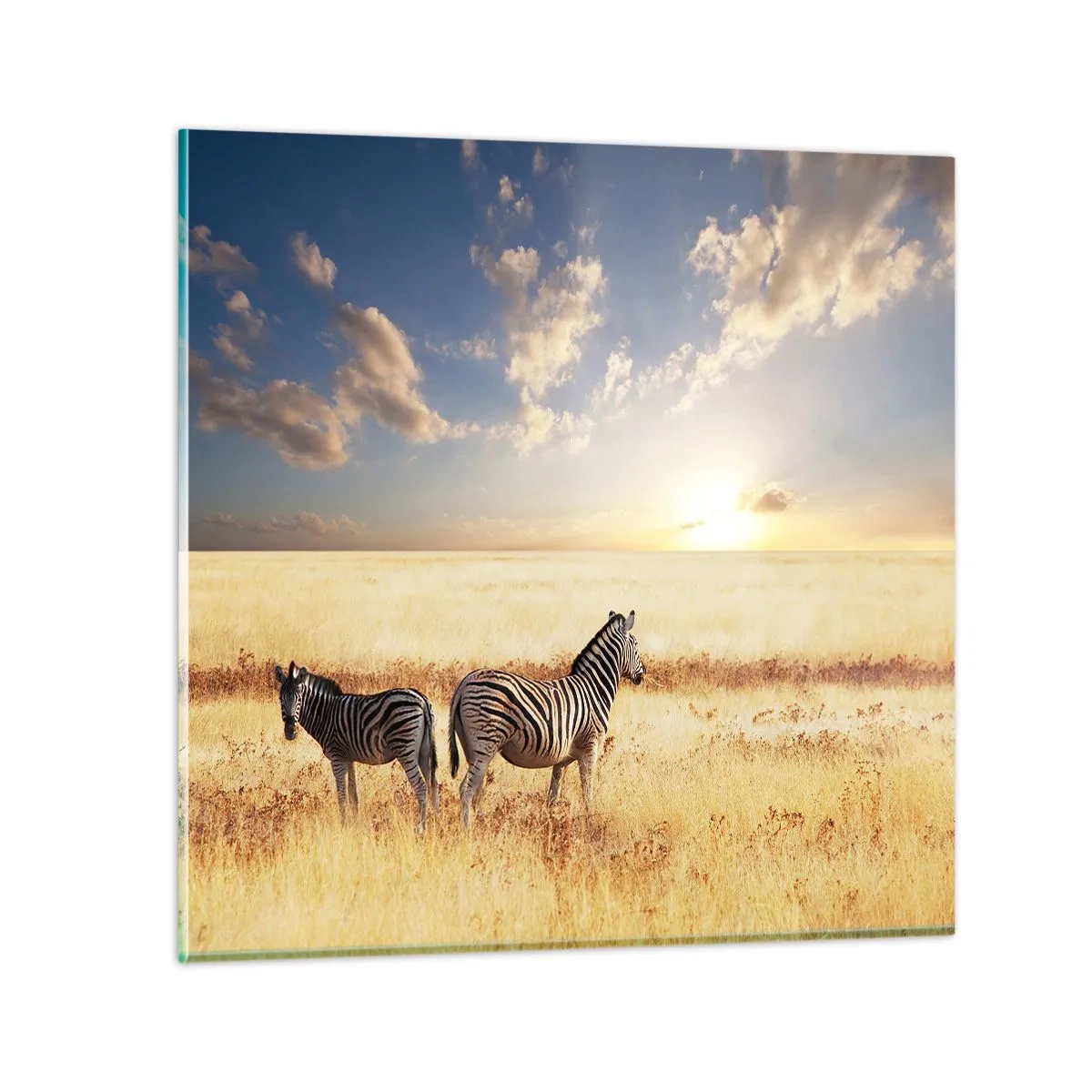 Glasbild - Bild auf glas - Geh weg, sei nicht in Frieden - 50x50 cm