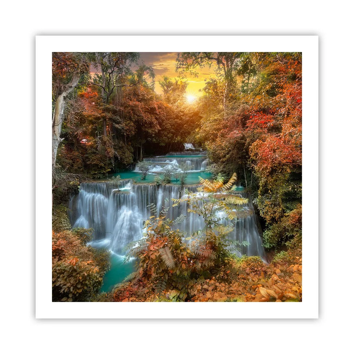 Poster - Versteckter Schatz des Waldes - 60x60 cm