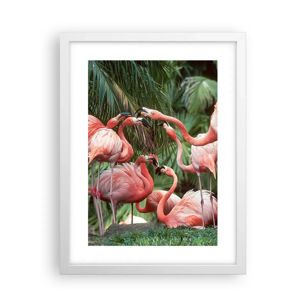 Poster in einem weißen Rahmen - Nachmittagsklatsch - 30x40 cm