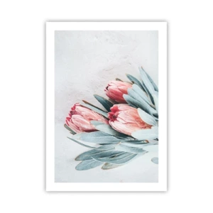 Poster - Eine subtile Komposition aus Protea-Blüten auf hellem Hintergrund - 50x70cm - Schämen sich für ihre eigene Schönheit - Moderne Wanddekoration für Wohnzimmer und Schlafzimmer ARTTOR