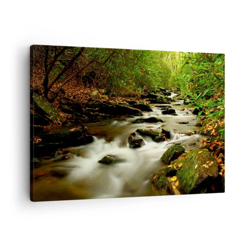 Bild auf Leinwand - Leinwandbild - Ein Waldbach, der zwischen Steinen fließt, umgeben von Grün - 70x50cm - Wie flüssiges Silber - Moderne Wanddekoration für Wohnzimmer und Schlafzimmer ARTTOR