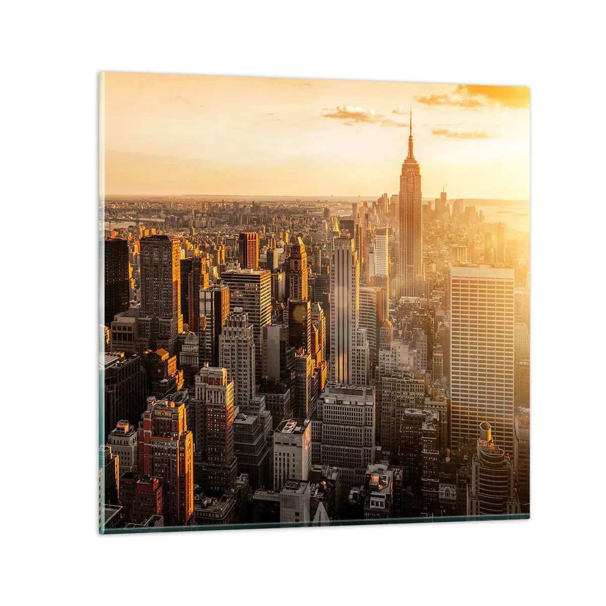 Glasbild - Bild auf glas - In der Sonne wachsen - 70x70 cm