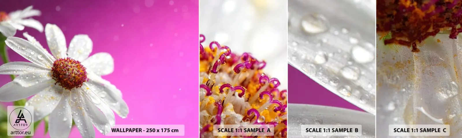 Fototapetenmuster Standard Eco - Bescheiden in seiner Schönheit - Blume, Natur, Garten - 100x30 cm