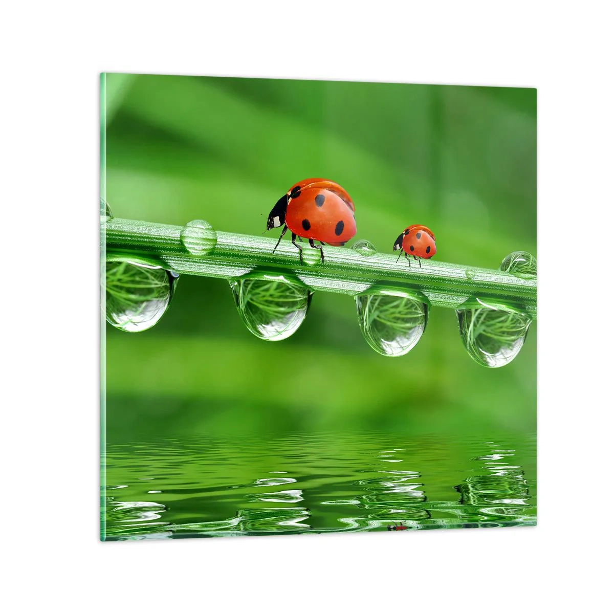 Glasbild - Bild auf glas - Den ganzen Sommer unterwegs - 70x70 cm