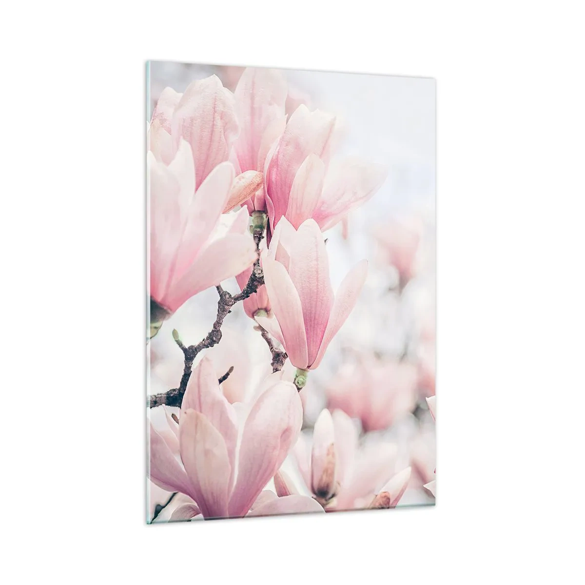 Glasbild - Bild auf glas - Zart rosa Magnolien auf hellem Untergrund - 50x70cm - Das Ideal der Subtilität - Moderne Wanddekoration für Wohnzimmer und Schlafzimmer ARTTOR