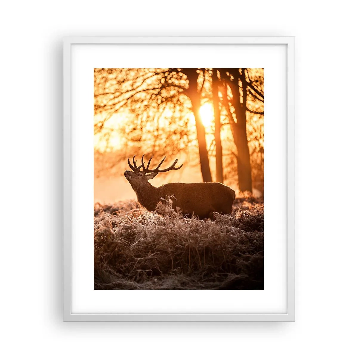 Poster in einem weißen Rahmen - Der Traum eines Jägers - 40x50 cm