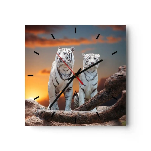 Wanduhr - Glasuhr - Weiße Tiger in der untergehenden Sonne vor der Kulisse der Natur - 30x30cm - Genau wie Narnia - Moderne Wanddekoration für Wohnzimmer und Schlafzimmer ARTTOR