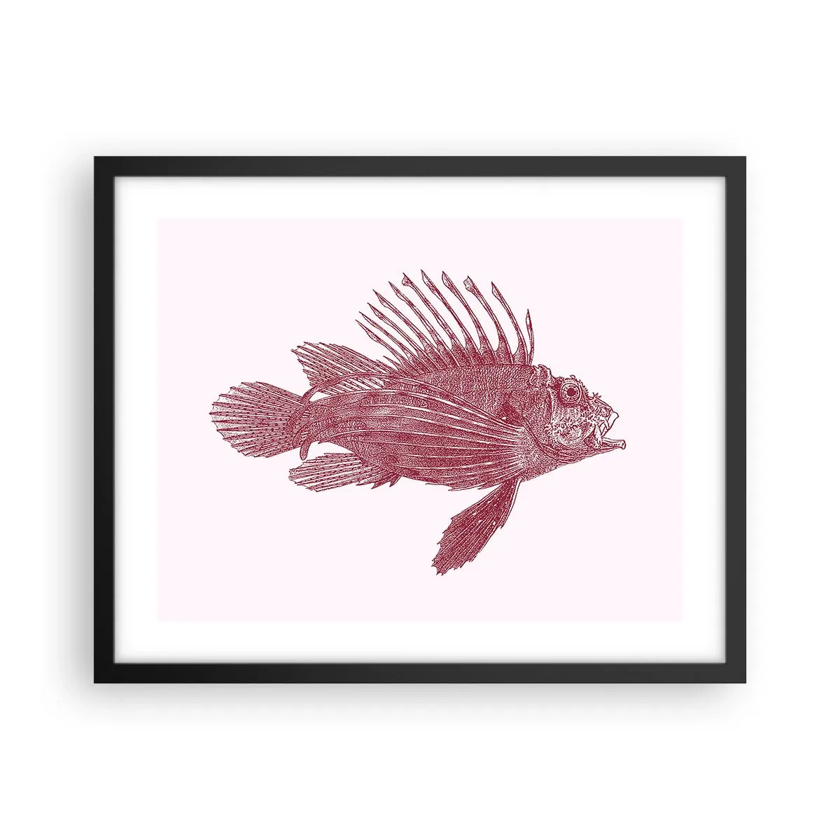 Poster in einem schwarzem Rahmen - Bewohner exotischer Gewässer - 50x40 cm