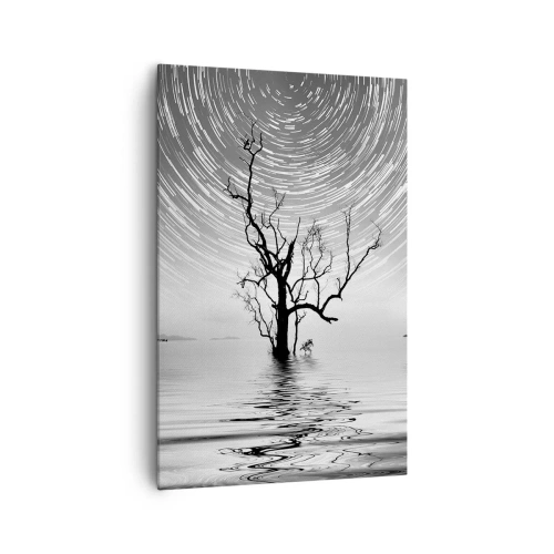 Bild auf Leinwand - Leinwandbild - Ein Baum im Wasser unter einem Nachthimmel mit sich bewegenden Sternen - 80x120cm - Eine Sinfonie der Natur - Moderne Wanddekoration für Wohnzimmer und Schlafzimmer ARTTOR