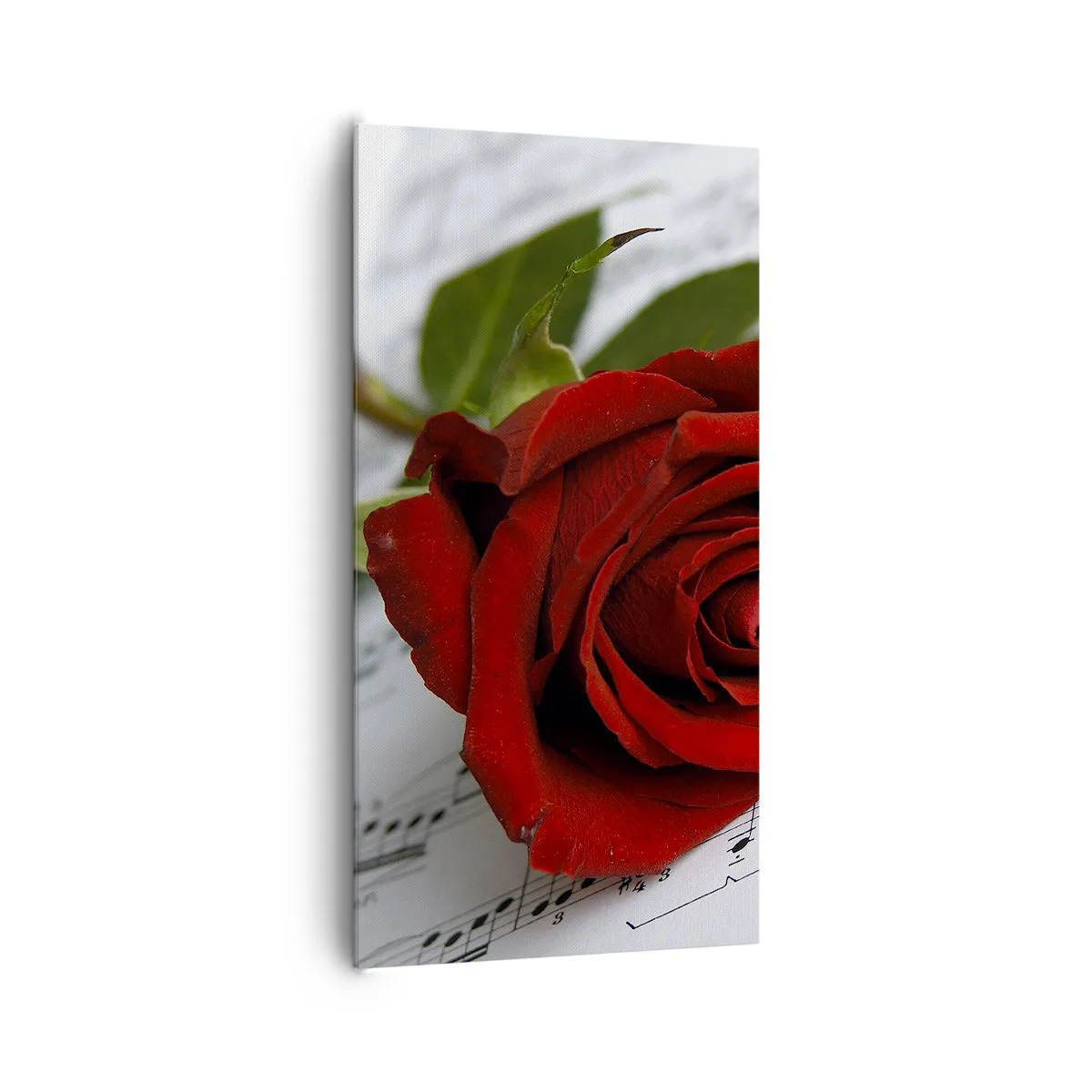Bild auf Leinwand - Leinwandbild - Musik der Gefühle in Scharlach - 65x120 cm