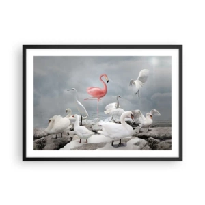 Poster in einem schwarzem Rahmen - Ein rosa Flamingo zwischen weißen Schwänen vor der Kulisse eines Sees - 70x50cm - Wie kam ich hier hin? - Moderne Wanddekoration für Wohnzimmer und Schlafzimmer ARTTOR