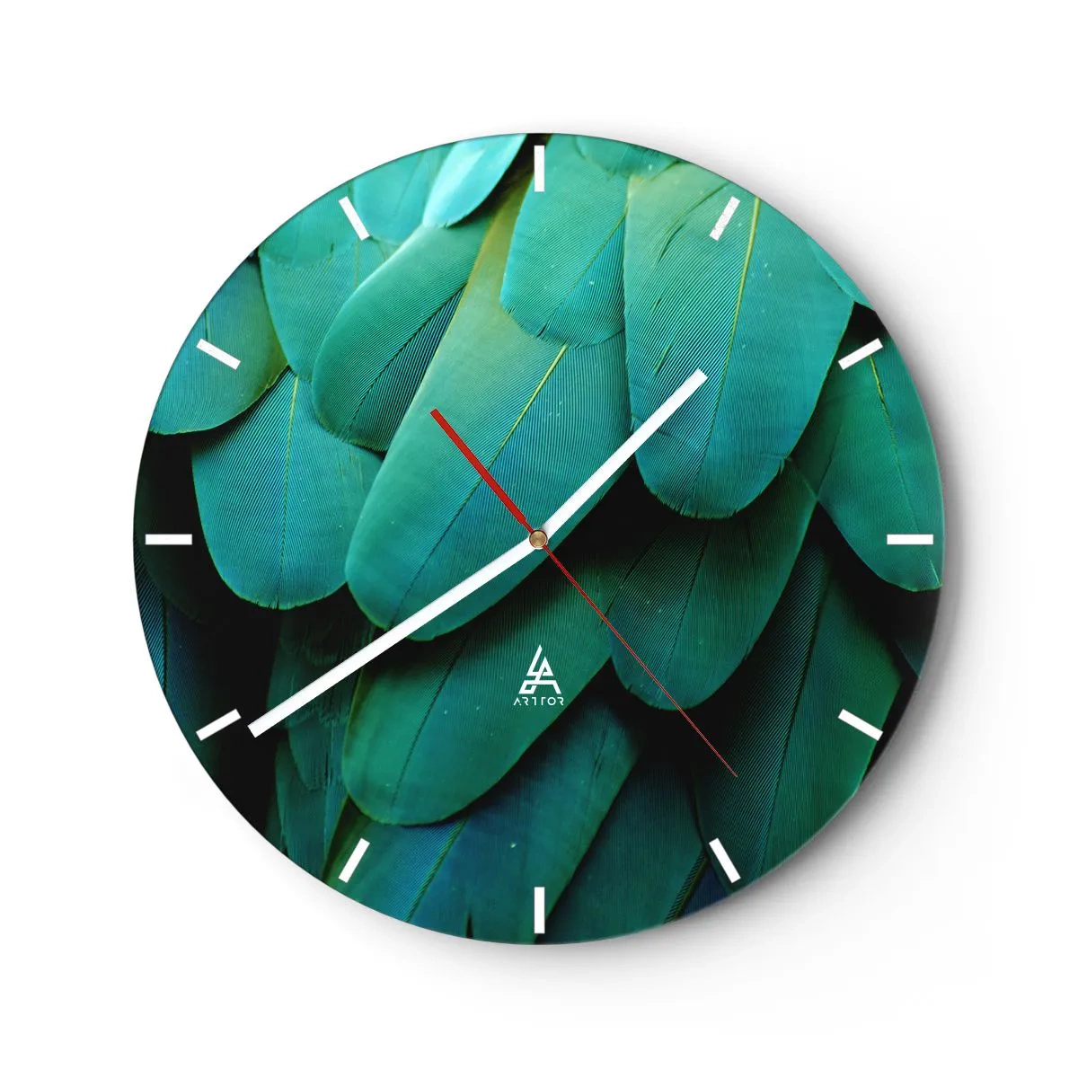 Wanduhr - Glasuhr - Papageienartige Präzision - 40x40 cm