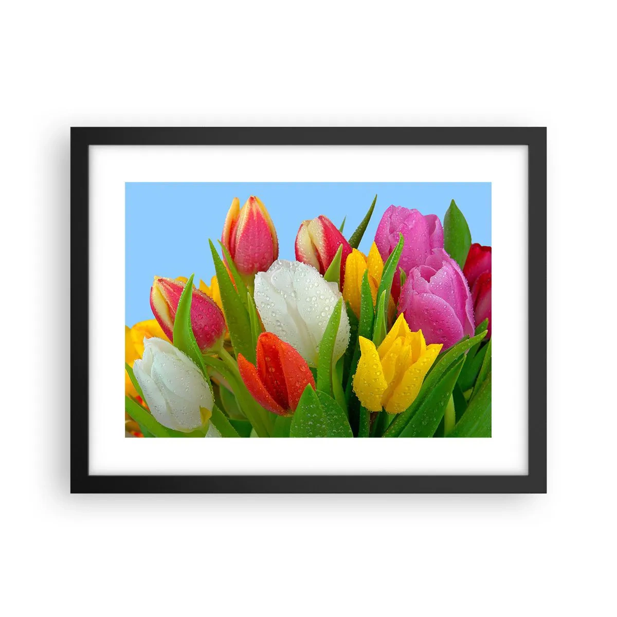 Poster in einem schwarzem Rahmen - Ein blumiger Regenbogen in Tautropfen - 40x30 cm