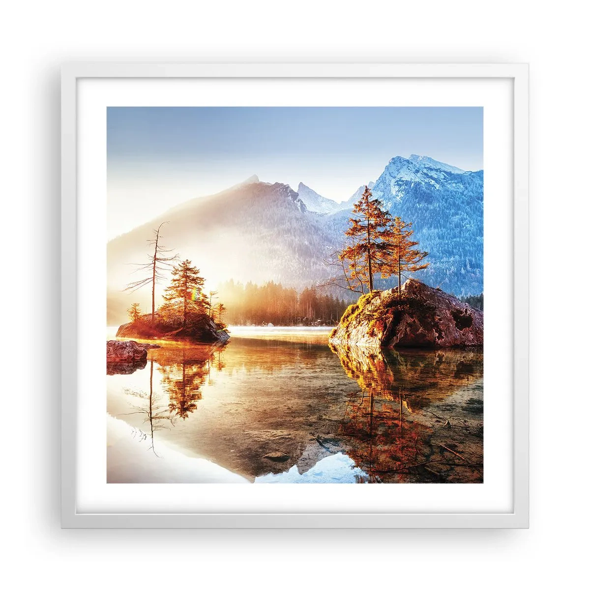 Poster in einem weißen Rahmen - Natur in neuem Licht - 50x50 cm