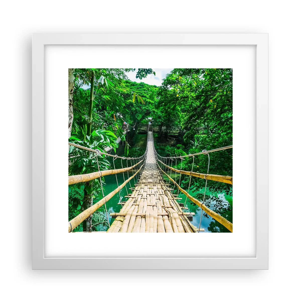 Poster in einem weißen Rahmen - Monkey Bridge über das Grün - 30x30 cm