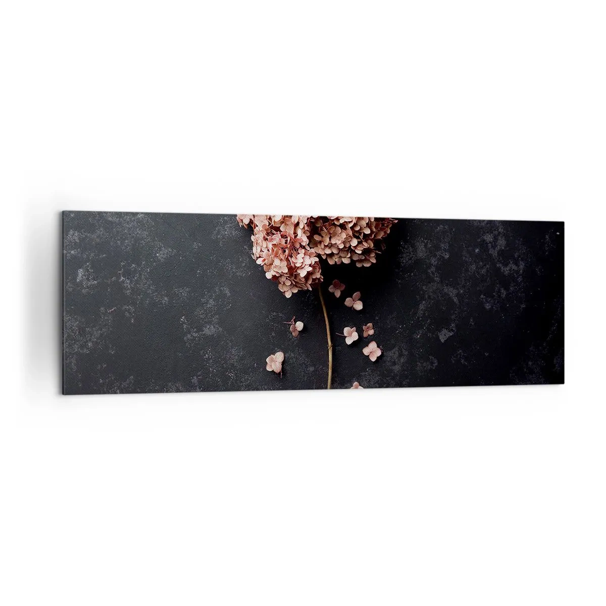 Bild auf Leinwand - Leinwandbild - Eine zarte Hortensienblüte auf dunklem Hintergrund - 160x50cm - Wirklich romantisches Zeichen - Moderne Wanddekoration für Wohnzimmer und Schlafzimmer ARTTOR