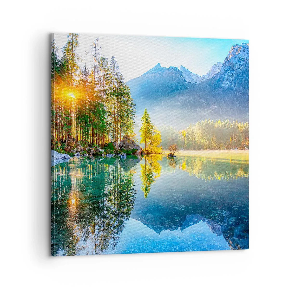 Bild auf Leinwand - Leinwandbild - Majestät und Süße - 60x60 cm