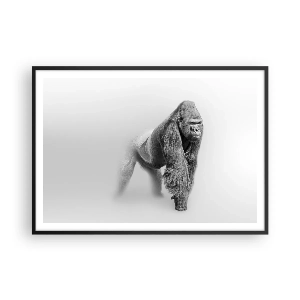 Poster in einem schwarzem Rahmen - Gorilla in monochromen Tönen auf weißem Hintergrund - 100x70cm - Zuversichtlich in seiner Stärke - Moderne Wanddekoration für Wohnzimmer und Schlafzimmer ARTTOR