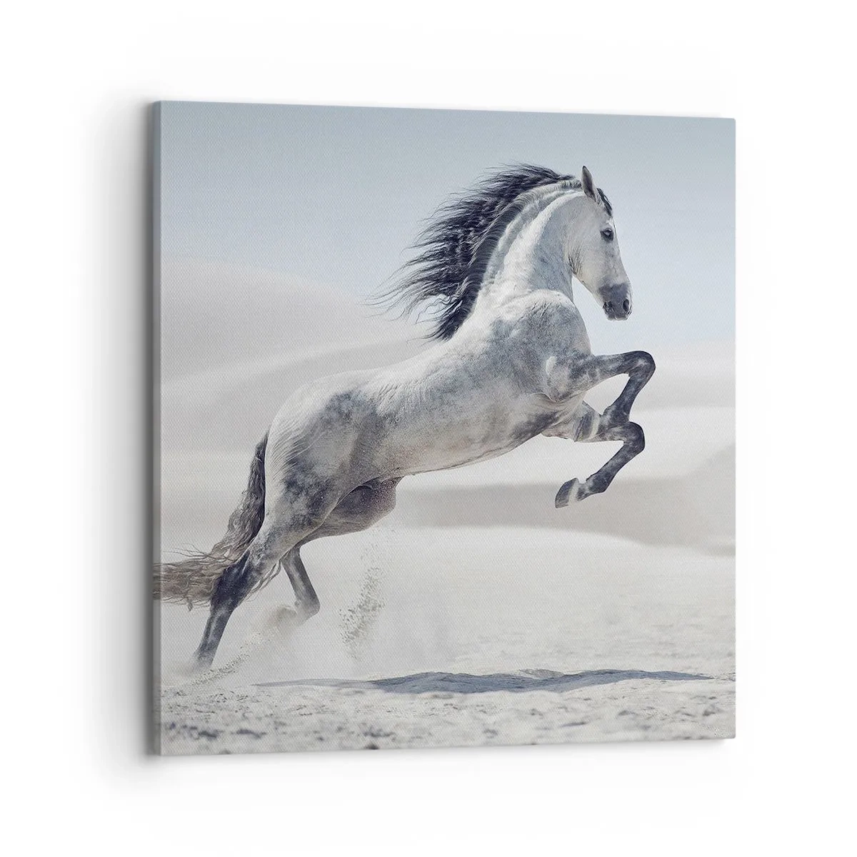 Bild auf Leinwand - Leinwandbild - Arabischer Prinz - 70x70 cm