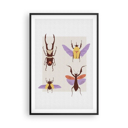 Poster in einem schwarzem Rahmen - Insektenwelt - 61x91 cm