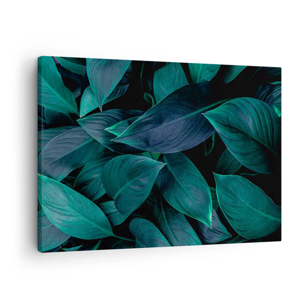 Bild auf Leinwand - Leinwandbild - Nahaufnahme von grünen Blättern mit dunklem Hintergrund - 70x50cm - Grün in sich selbst - Moderne Wanddekoration für Wohnzimmer und Schlafzimmer ARTTOR