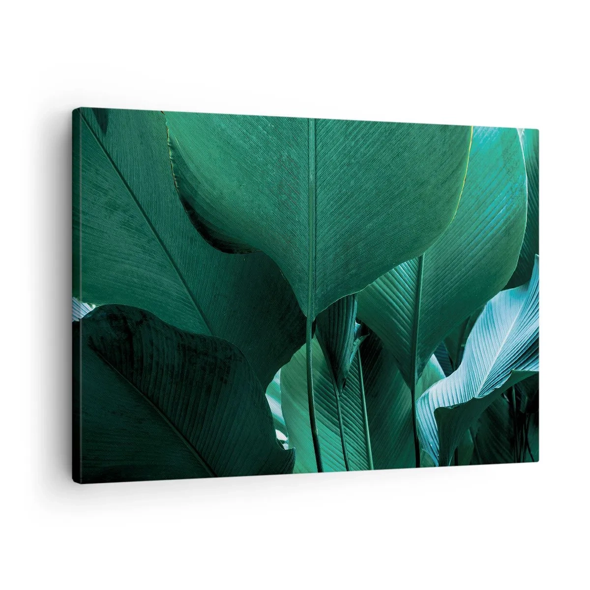 Bild auf Leinwand - Leinwandbild - Grüne Blätter in minimalistischer Komposition - 70x50cm - Dem Licht zugewandt - Moderne Wanddekoration für Wohnzimmer und Schlafzimmer ARTTOR
