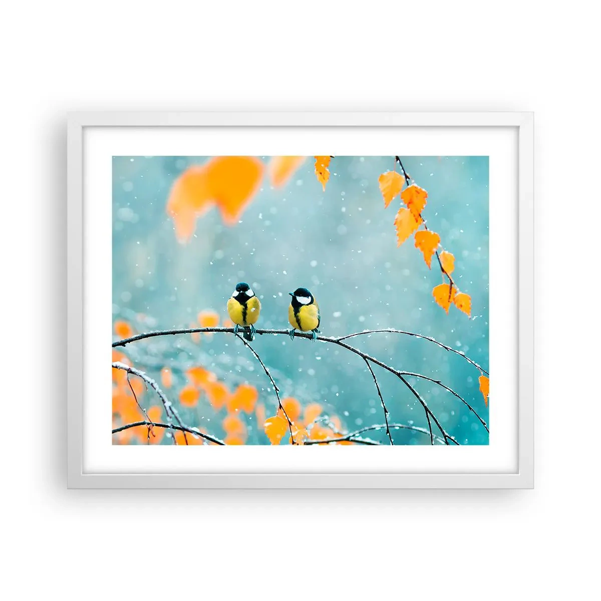 Poster in einem weißen Rahmen - Vogelklatsch - 50x40 cm