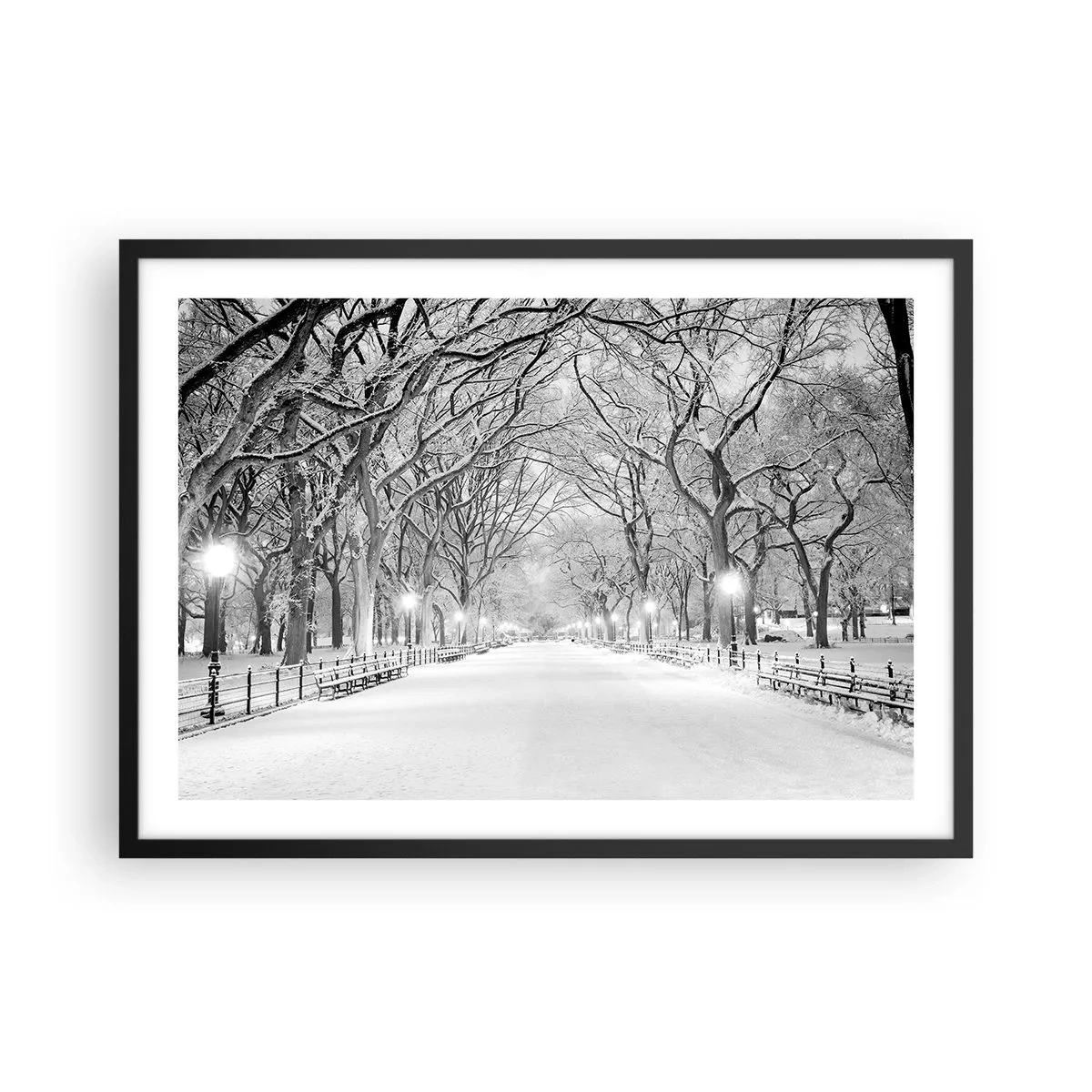 Poster in einem schwarzem Rahmen - Eine Winterallee mit schneebedeckten Bäumen in Monochrom - 70x50cm - Vier Jahreszeiten - Winter - Moderne Wanddekoration für Wohnzimmer und Schlafzimmer ARTTOR