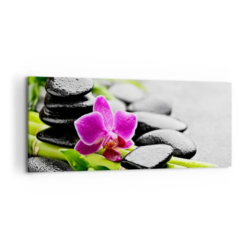 Bild auf Leinwand - Leinwandbild - In ruhiger Balance - 100x40 cm