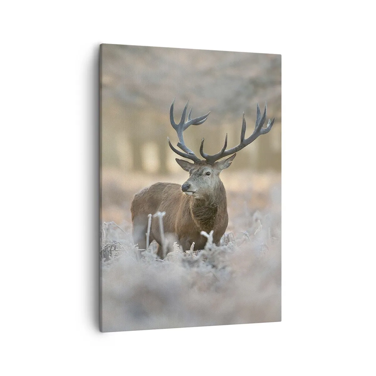 Bild auf Leinwand - Leinwandbild - Ein Reh auf einer frostigen Lichtung in einem Winterwald mit dezenten Farben - 50x70cm - Ein flotter Morgen - Moderne Wanddekoration für Wohnzimmer und Schlafzimmer ARTTOR