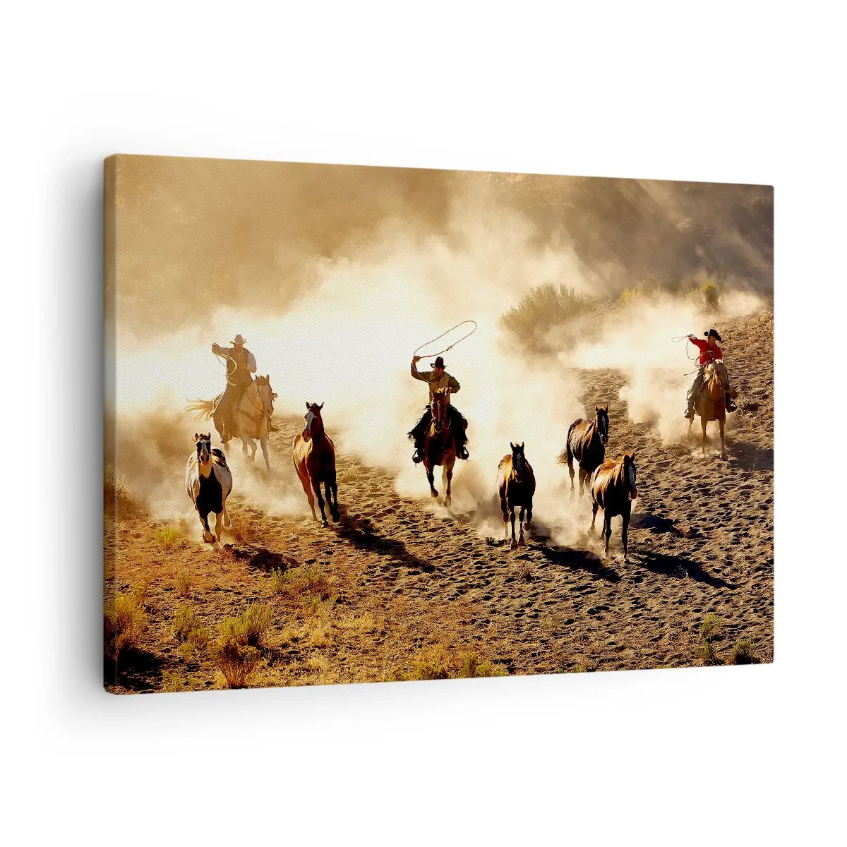 Bild auf Leinwand - Leinwandbild - Wirklich wilder Westen - 70x50 cm