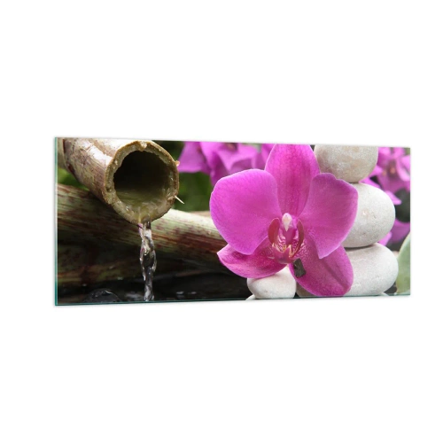 Glasbild - Bild auf glas - Du ruhst dich schon aus - 100x40 cm