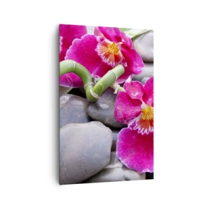 Bild auf Leinwand - Leinwandbild - Rosa Orchideen vor einem Hintergrund aus glatten Steinen - 80x120cm - Kühlen und erhitzen - Moderne Wanddekoration für Wohnzimmer und Schlafzimmer ARTTOR