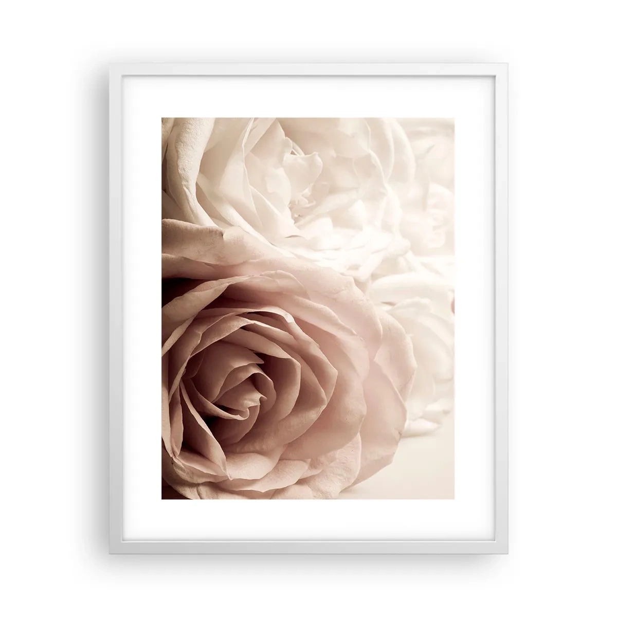 Poster in einem weißen Rahmen - Im Herzen der Rose - 40x50 cm