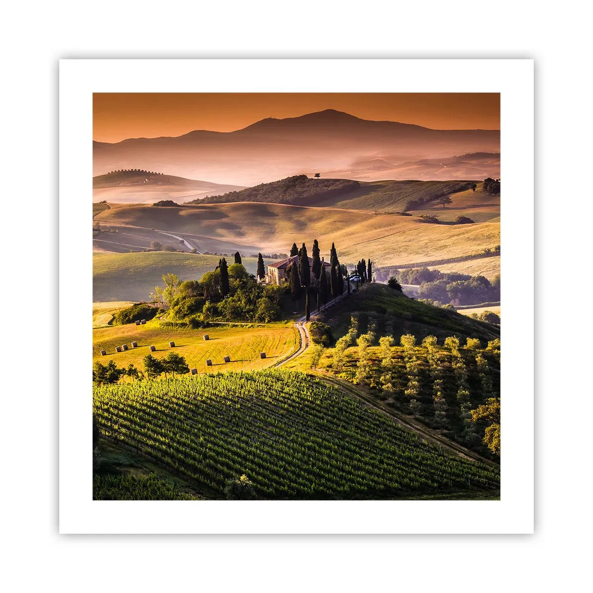 Poster - Arkadien - die toskanische Landschaft - 50x50 cm