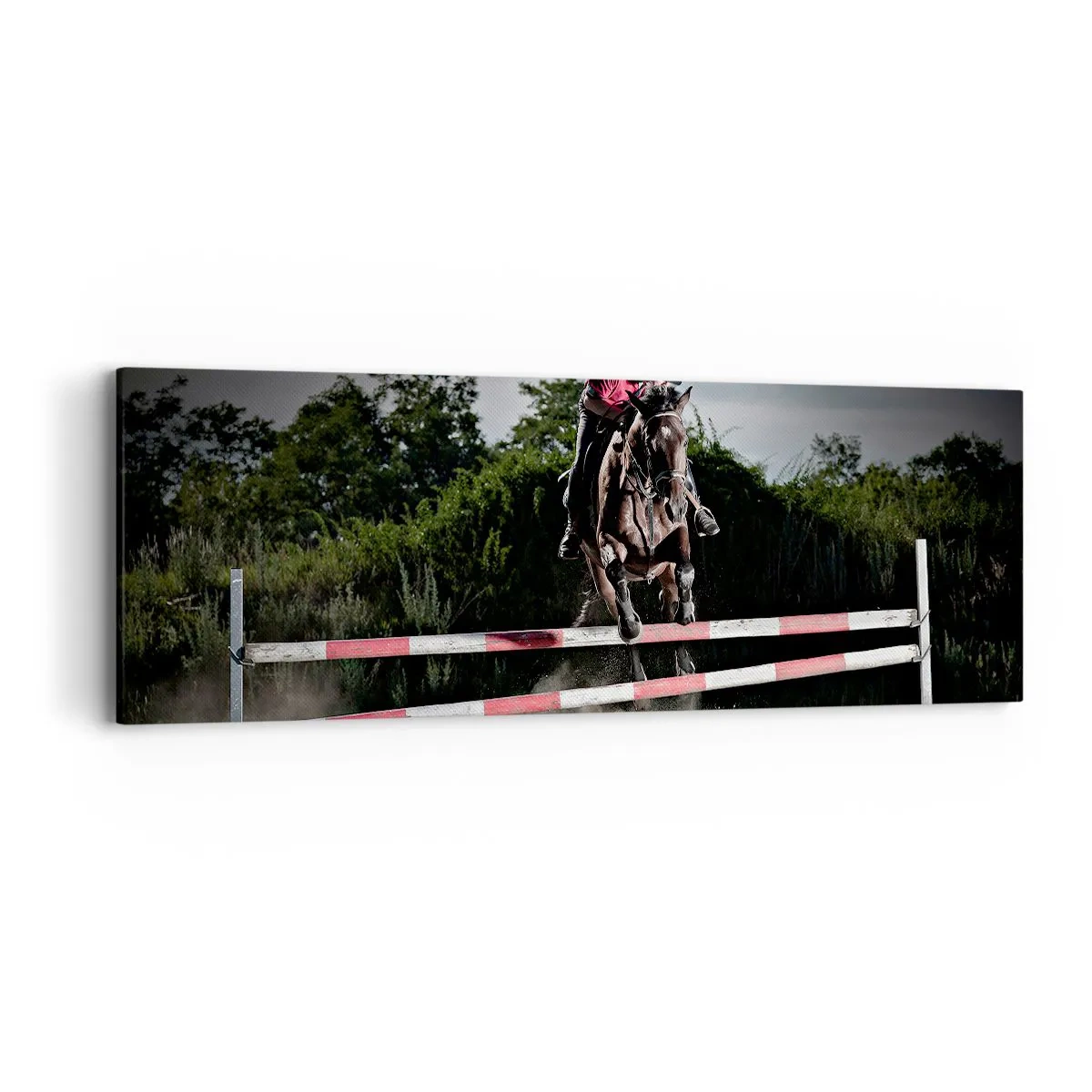 Bild auf Leinwand - Leinwandbild - Gemeinsam zum Sieg - 90x30 cm