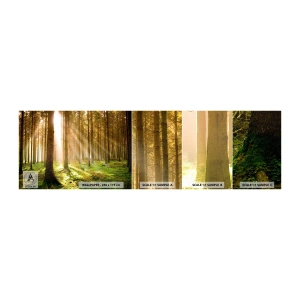 Fototapeten Muster Selbstklebend Deluxe Sticker - Die Elfen werden bald erscheinen - Wald, Sonnenstrahlen, Natur - 100x30 cm