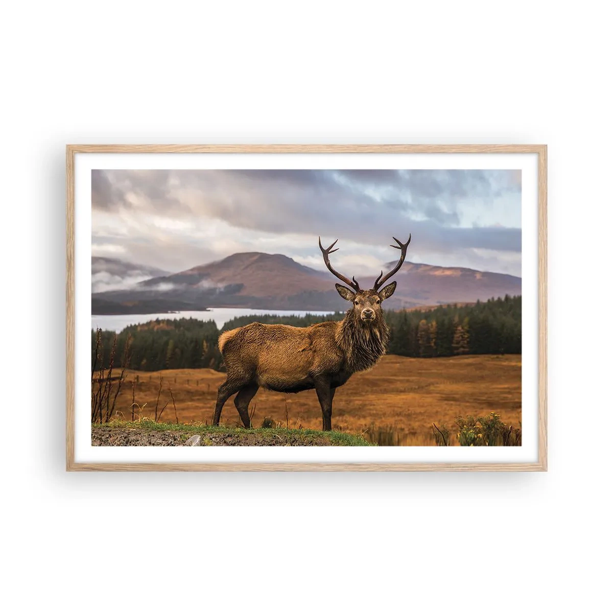 Poster in einem Rahmen aus heller Eiche - Die Majestät der Natur - 91x61 cm