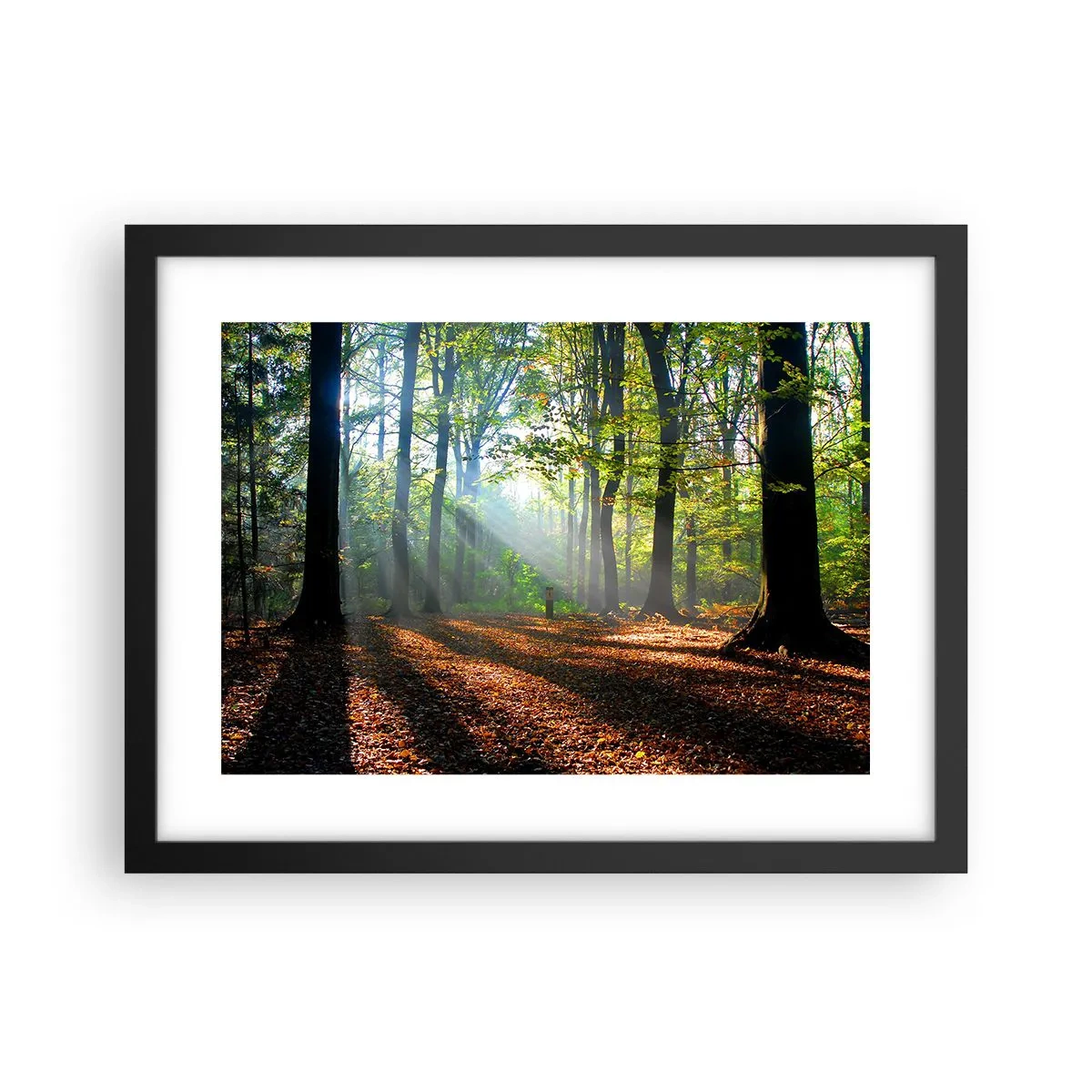 Poster in einem schwarzem Rahmen - Licht und Schatten - 40x30 cm