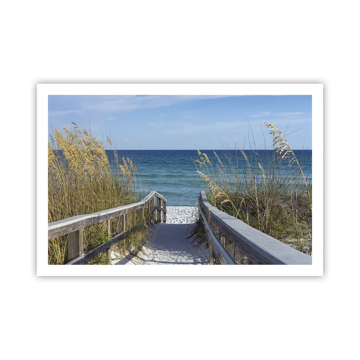 Poster - In der Sonne, im Wind - 91x61 cm