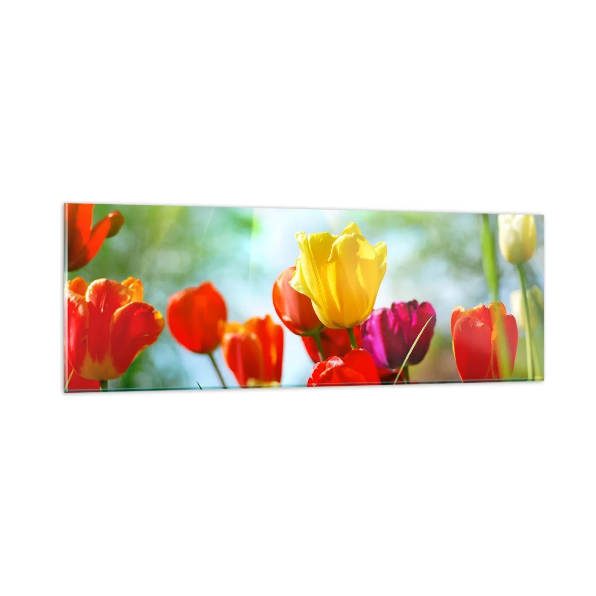 Glasbild - Bild auf glas - Alle Farben der Sonne - 90x30 cm